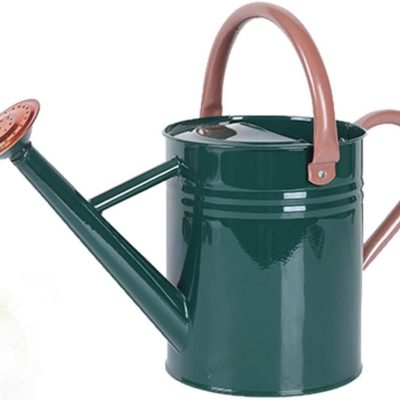 Metal Watering Can for Outdoor and Indoor Plants, Watering Can Decor, 1 Gallon