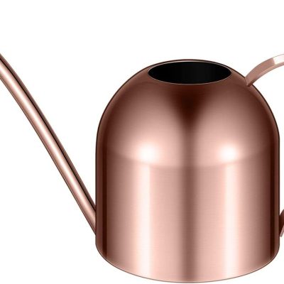 1000ml Stainless Steel Watering can for Indoor Plants, Long Spout Watering Pot for Garden Home Office, Rose Gold
