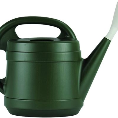 Standard Watering Can - Plant Watering Can - Small Plastic Garden Water Pot for Indoor Outdoor Plants Flowers by , 2 Gallon, Green