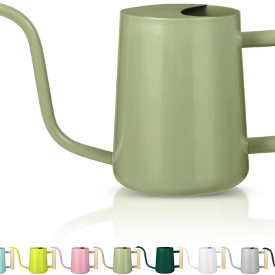 Watering Can Indoor Plants, 35oz Small Indoor Stainless Steel Metal Watering Can Modern Decorative Watering Pot with Long Spout for Indoor House Plant Bonsai Garden Flowers (Sage Green)