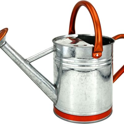 Metal Watering Can for Outdoor Plants, Galvanized Steel Watering Can with Removable spout, 1 Gallon,Perfect Home & Garden Décor Retro Zinc Hue