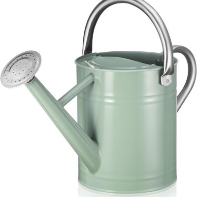 Watering Can for Outdoor Plants and Indoor Plants,1 Gallon Metal Watering Can for Garden Flower,Galvanized Steel Metal Water Can Watering Pot with Sprinkler Head