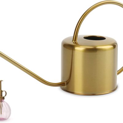 Watering Can Indoor Outdoor Stainless Steel Watering Cans for House Plants Long Spout Water Can for Succulent Bonsai Garden Flower(40oz/1300ml)