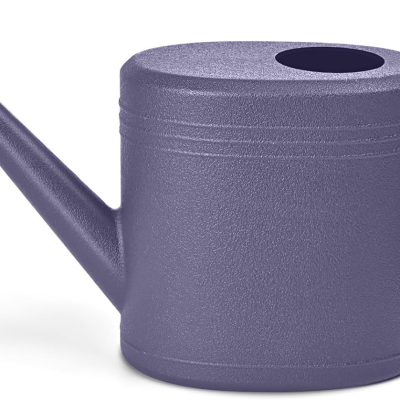 Plastic Watering Can for Home Plant Garden - with Long Stem - 1/4 Gallon - Purple