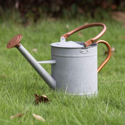 1 Gallon Watering Can, Farmhouse Watering Can, Metal Watering Can with Removable Spout, Galvanized Watering Can, Perfect Plant Watering Can for Indoor Use and for Outdoor Use